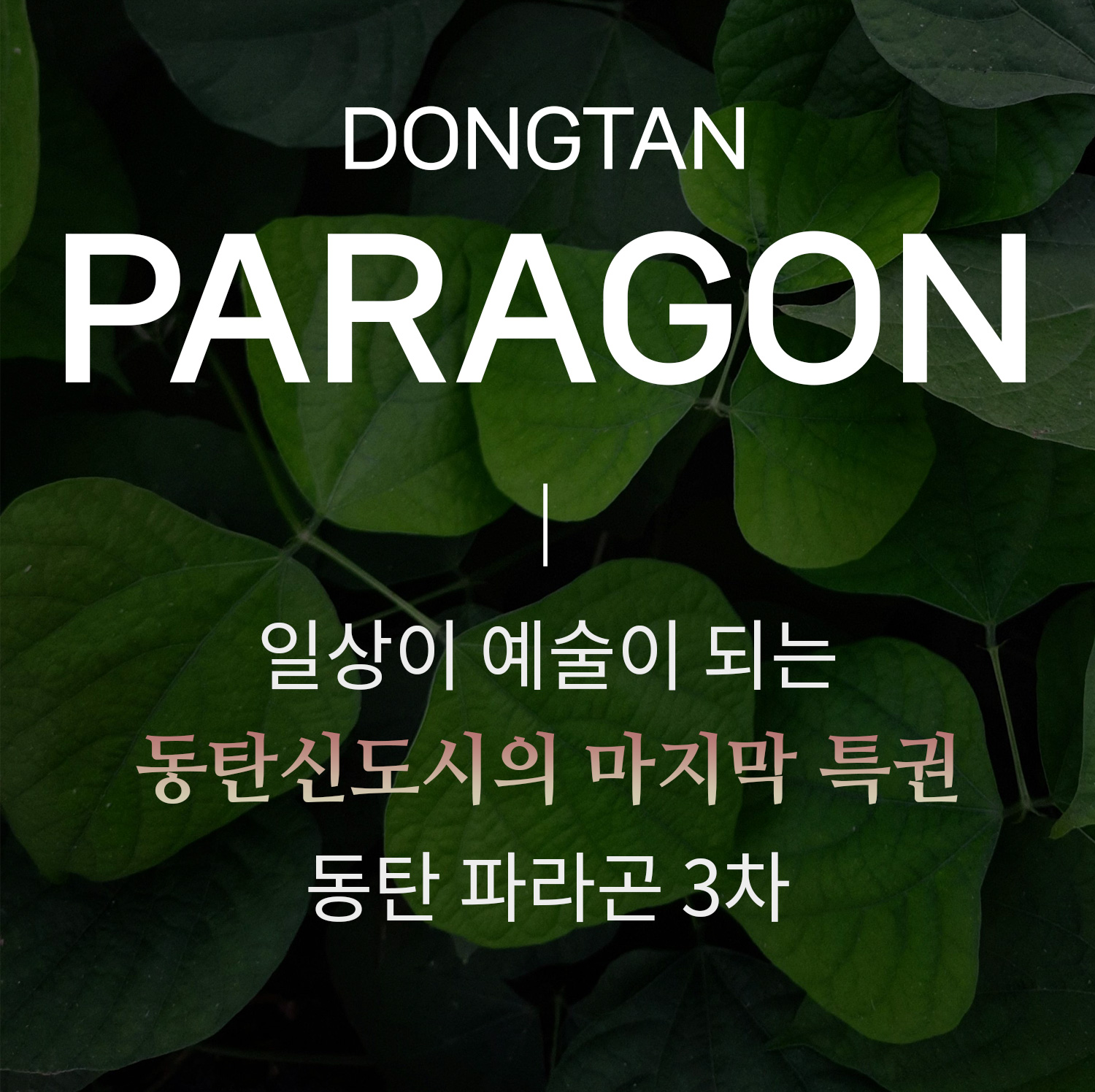 동탄 파라곤 3차 분양개요